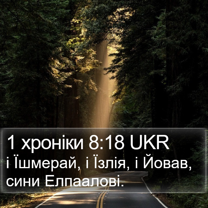 1 хроніки 8:18 UKR Bible Study