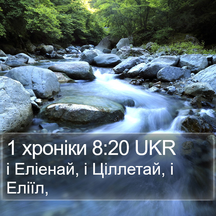 1 хроніки 8:20 UKR Bible Study