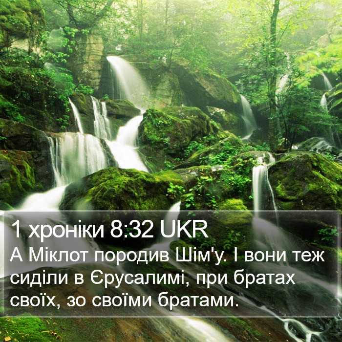 1 хроніки 8:32 UKR Bible Study