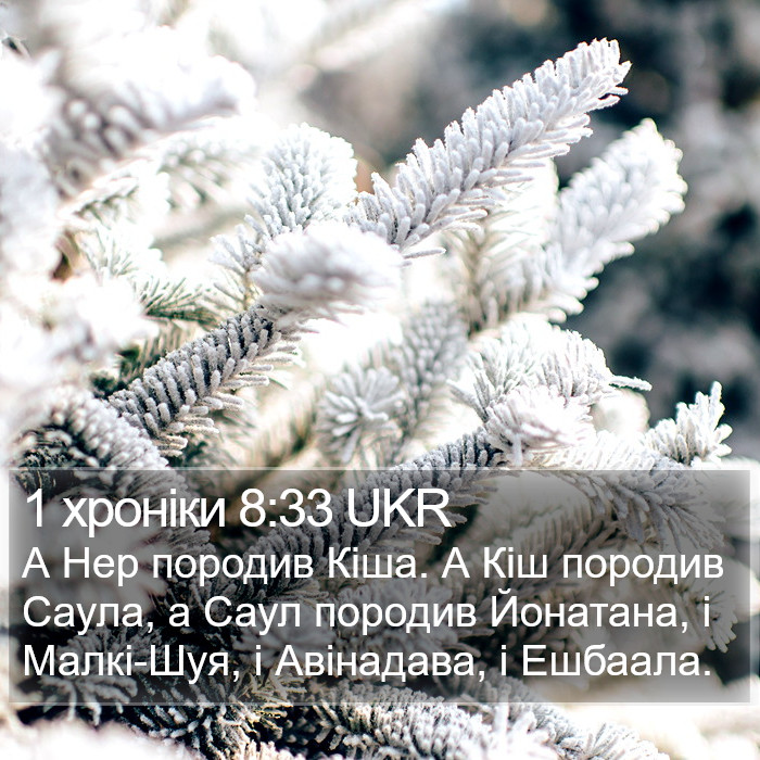 1 хроніки 8:33 UKR Bible Study