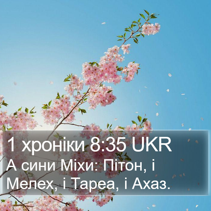 1 хроніки 8:35 UKR Bible Study