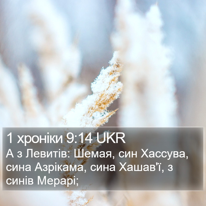 1 хроніки 9:14 UKR Bible Study