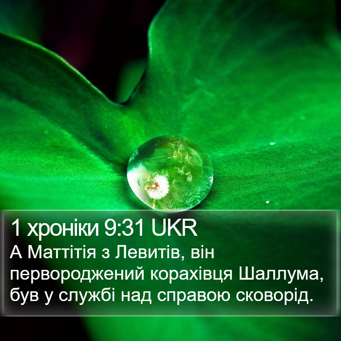 1 хроніки 9:31 UKR Bible Study