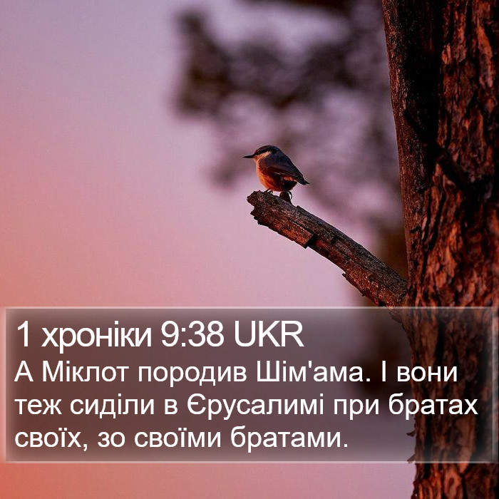 1 хроніки 9:38 UKR Bible Study