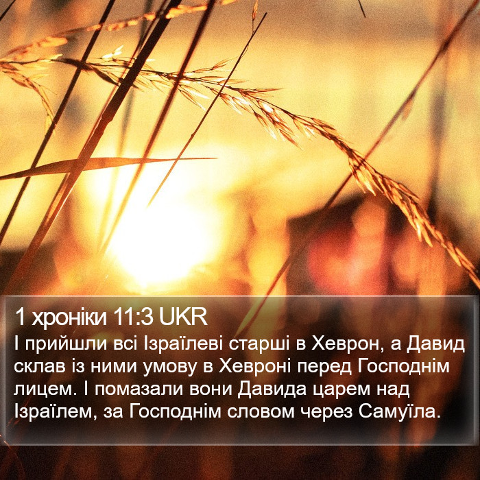 1 хроніки 11:3 UKR Bible Study