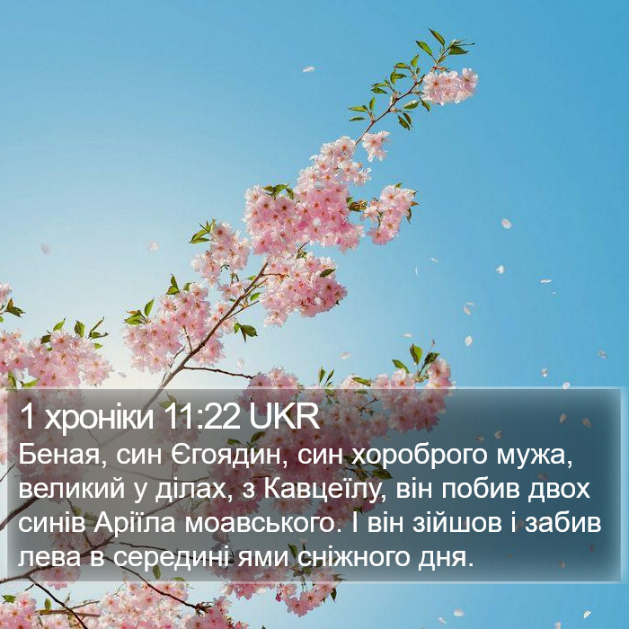 1 хроніки 11:22 UKR Bible Study