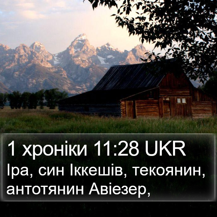 1 хроніки 11:28 UKR Bible Study