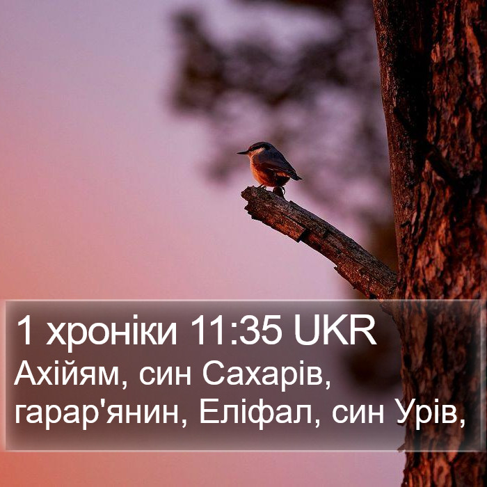 1 хроніки 11:35 UKR Bible Study