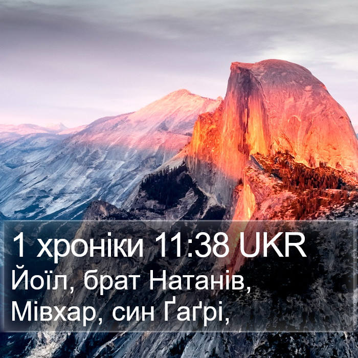 1 хроніки 11:38 UKR Bible Study