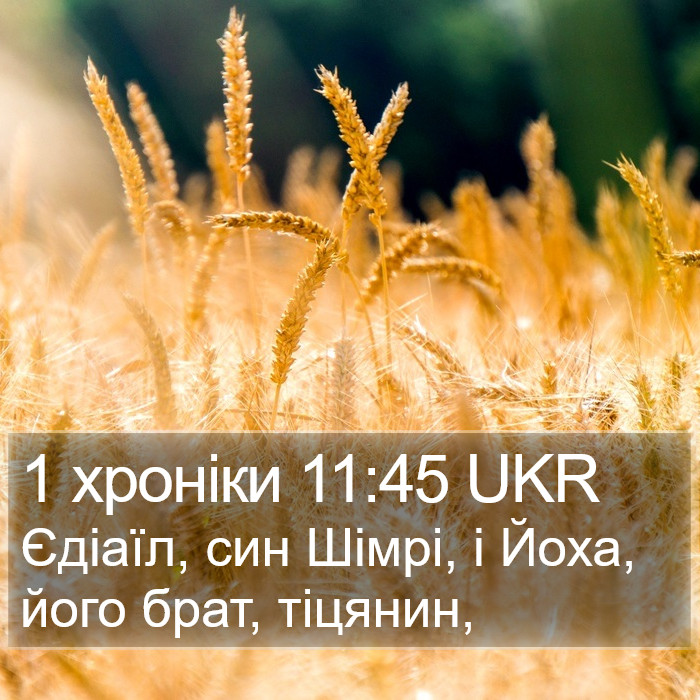 1 хроніки 11:45 UKR Bible Study