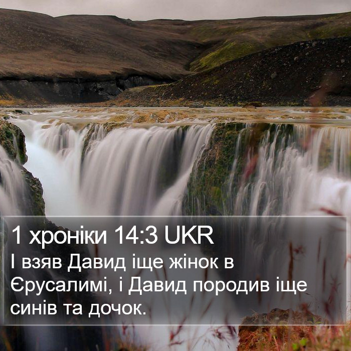 1 хроніки 14:3 UKR Bible Study