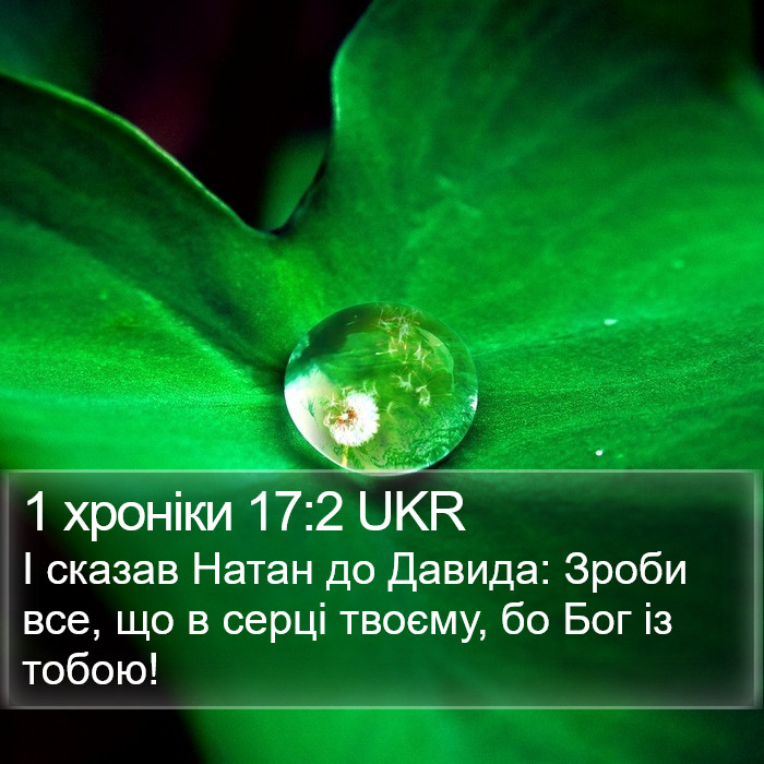 1 хроніки 17:2 UKR Bible Study