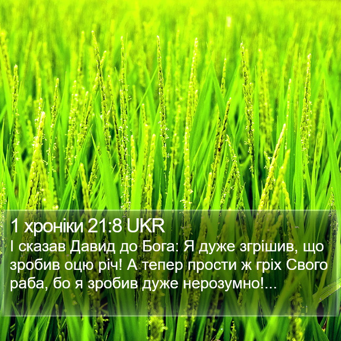 1 хроніки 21:8 UKR Bible Study