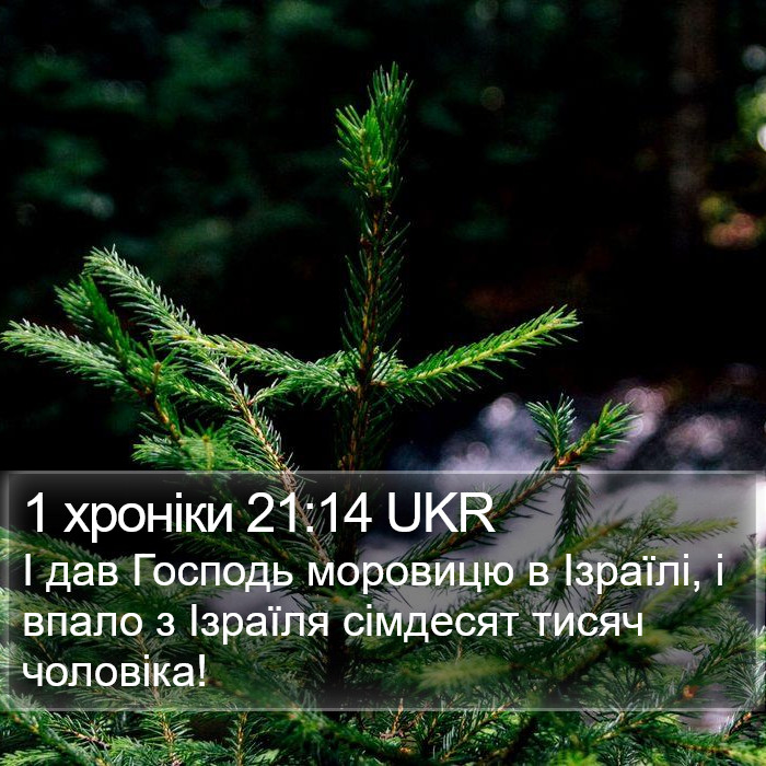 1 хроніки 21:14 UKR Bible Study