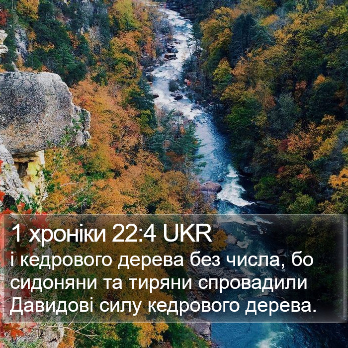 1 хроніки 22:4 UKR Bible Study