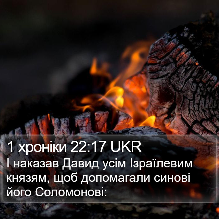 1 хроніки 22:17 UKR Bible Study