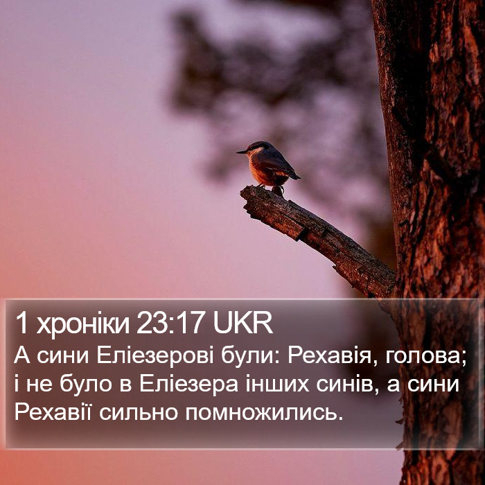 1 хроніки 23:17 UKR Bible Study