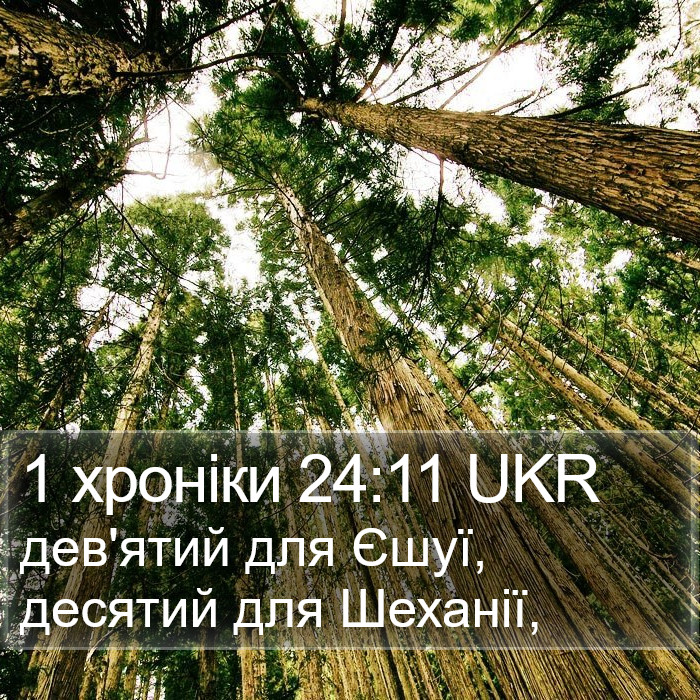 1 хроніки 24:11 UKR Bible Study