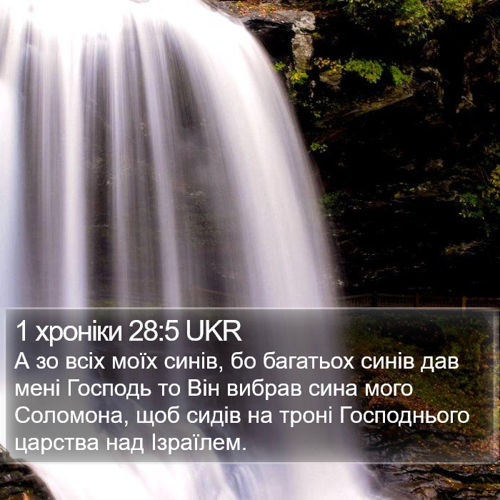 1 хроніки 28:5 UKR Bible Study
