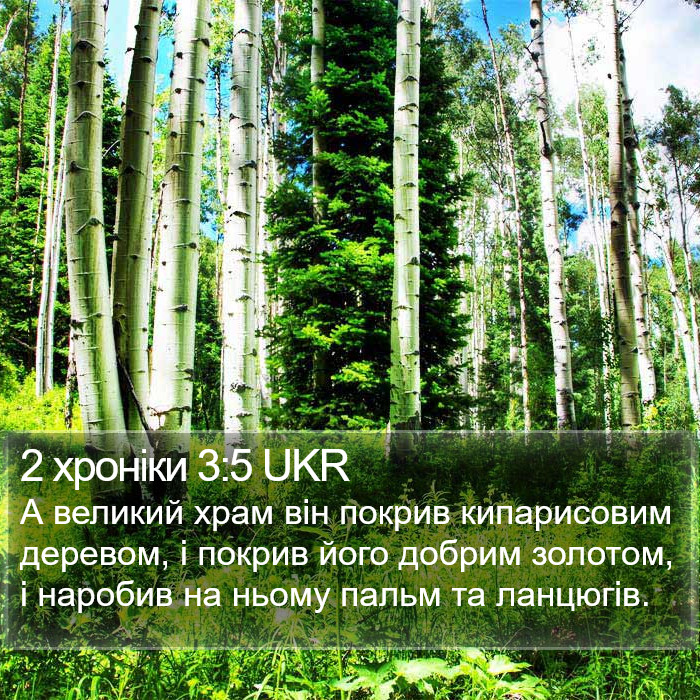 2 хроніки 3:5 UKR Bible Study