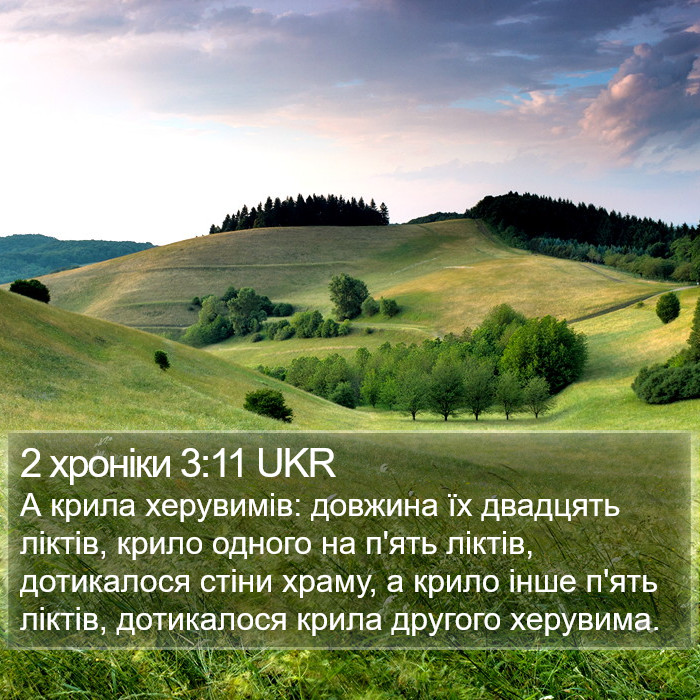 2 хроніки 3:11 UKR Bible Study