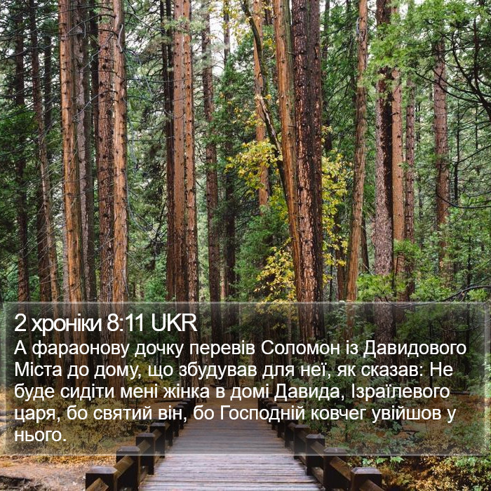 2 хроніки 8:11 UKR Bible Study