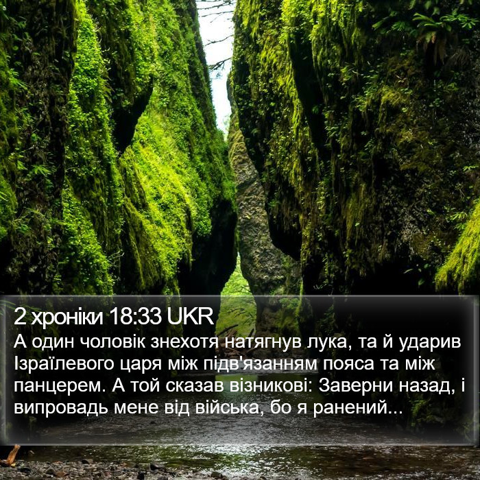 2 хроніки 18:33 UKR Bible Study