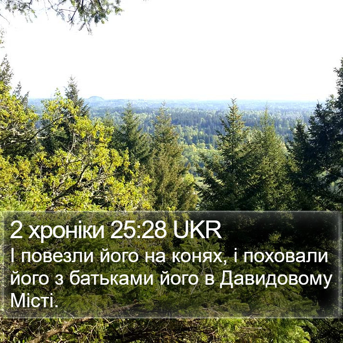 2 хроніки 25:28 UKR Bible Study