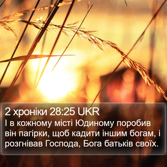 2 хроніки 28:25 UKR Bible Study