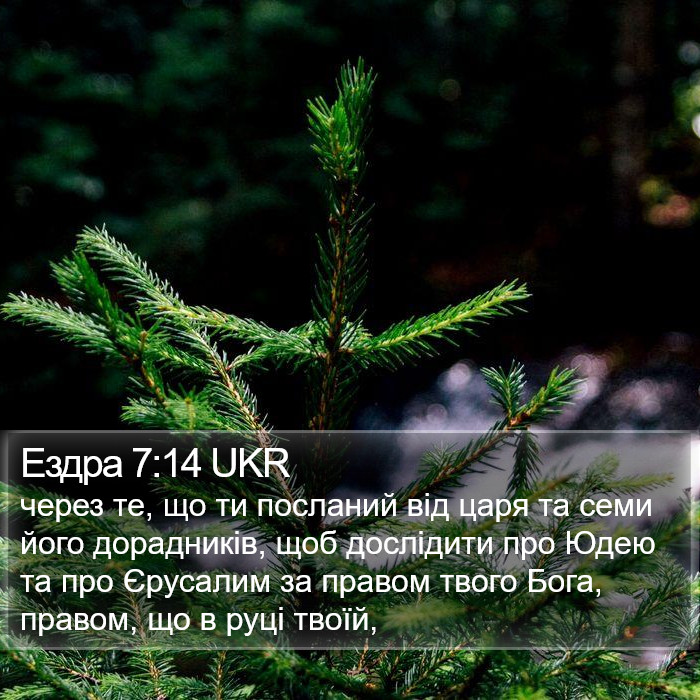 Ездра 7:14 UKR Bible Study