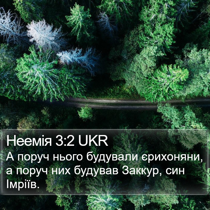 Неемія 3:2 UKR Bible Study