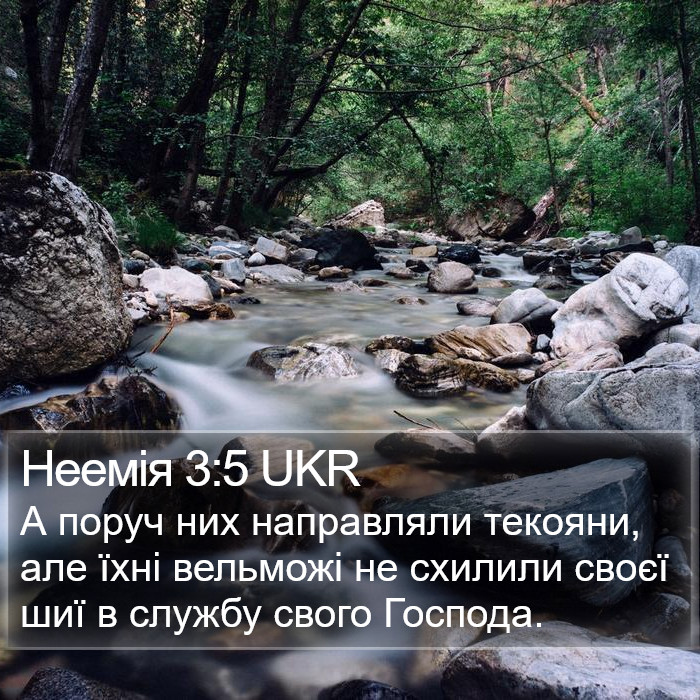 Неемія 3:5 UKR Bible Study