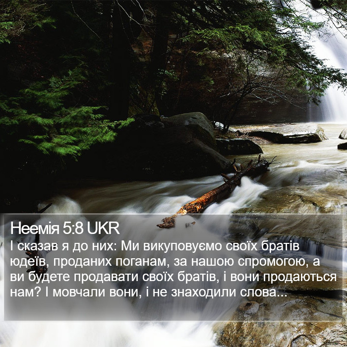 Неемія 5:8 UKR Bible Study