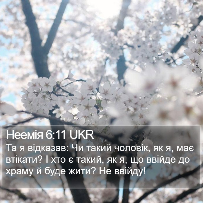 Неемія 6:11 UKR Bible Study