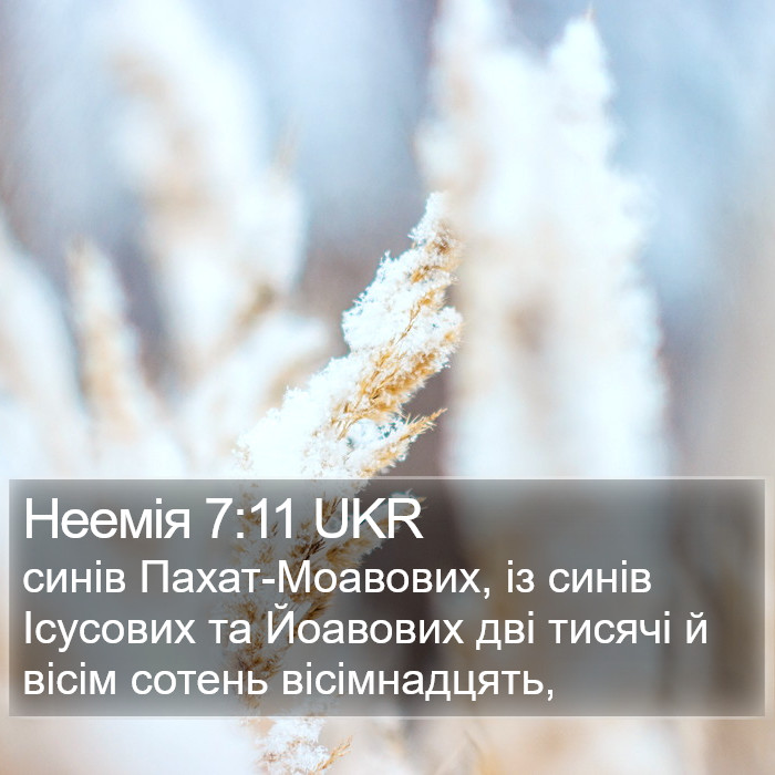 Неемія 7:11 UKR Bible Study