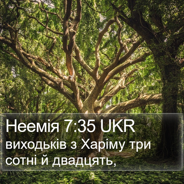 Неемія 7:35 UKR Bible Study