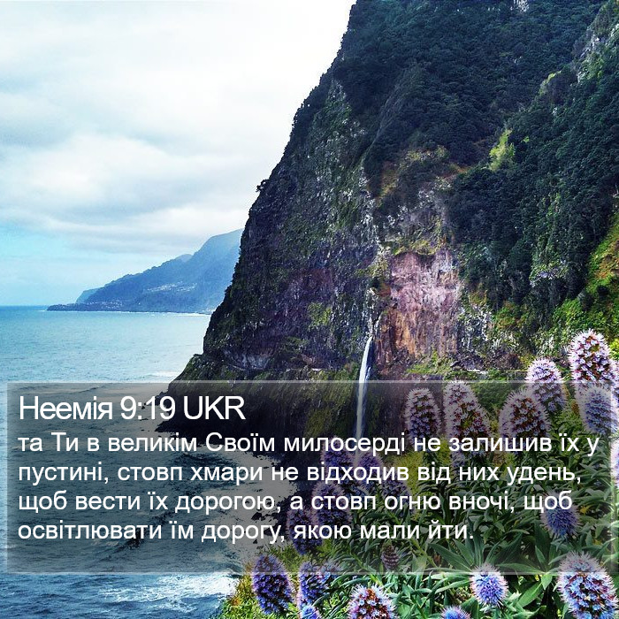 Неемія 9:19 UKR Bible Study