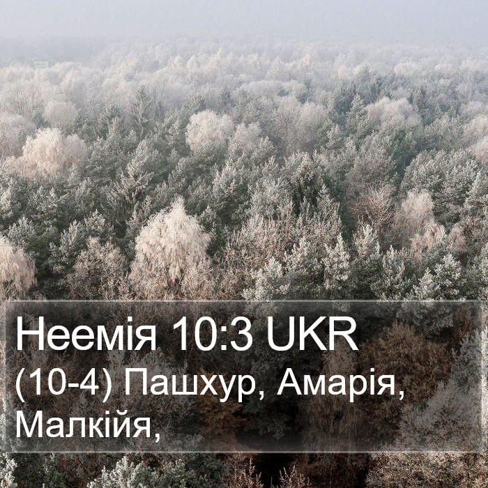 Неемія 10:3 UKR Bible Study