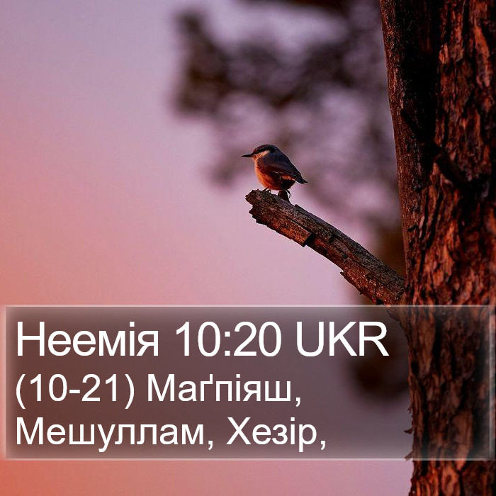 Неемія 10:20 UKR Bible Study