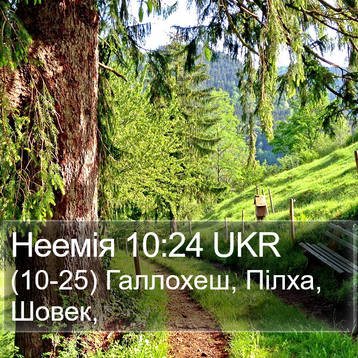 Неемія 10:24 UKR Bible Study