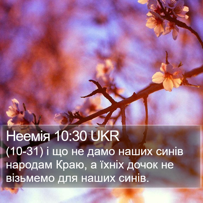 Неемія 10:30 UKR Bible Study
