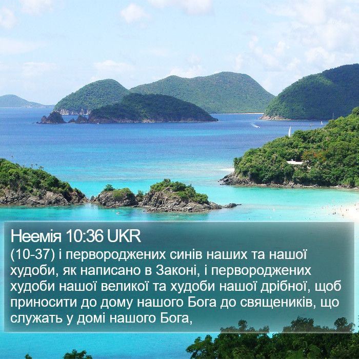 Неемія 10:36 UKR Bible Study