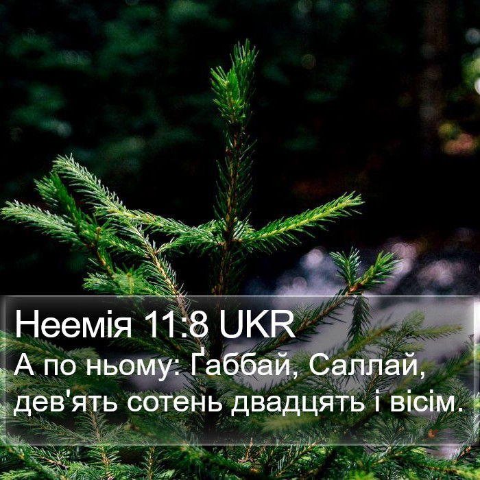 Неемія 11:8 UKR Bible Study