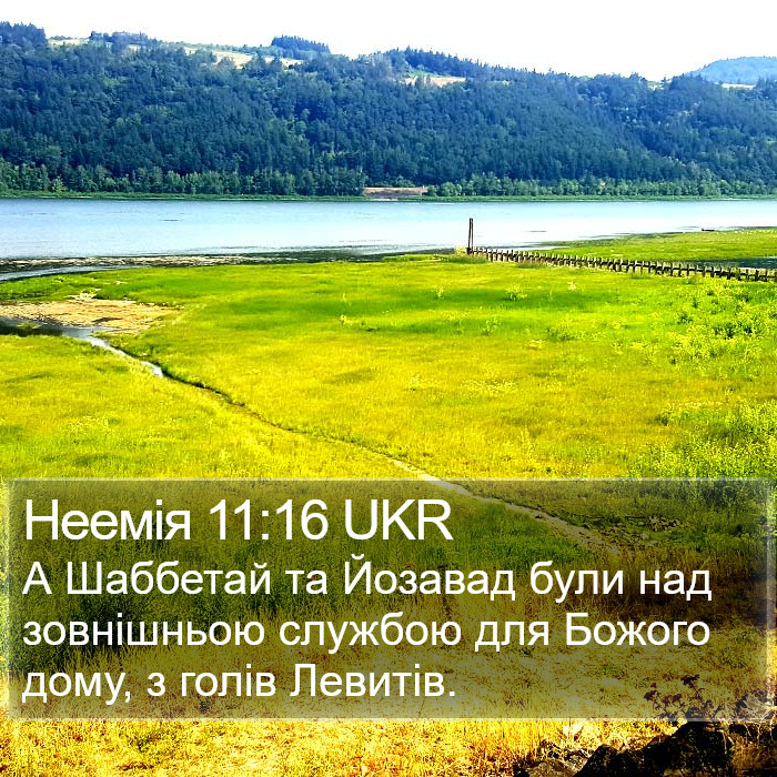 Неемія 11:16 UKR Bible Study