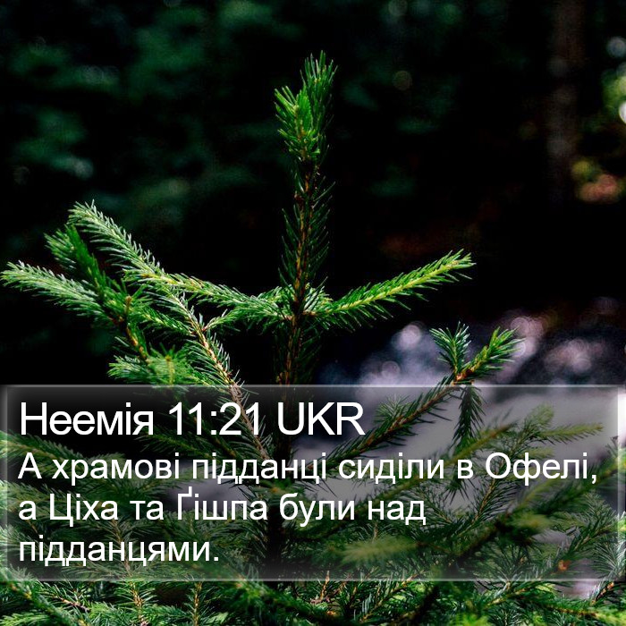 Неемія 11:21 UKR Bible Study