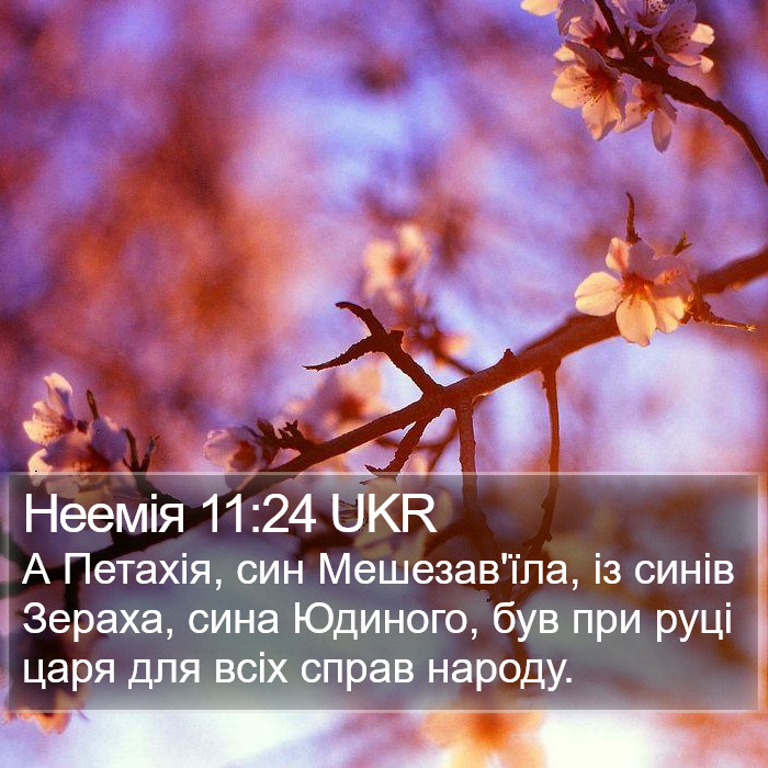 Неемія 11:24 UKR Bible Study