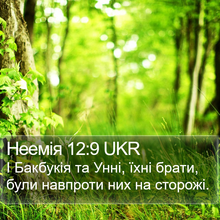 Неемія 12:9 UKR Bible Study