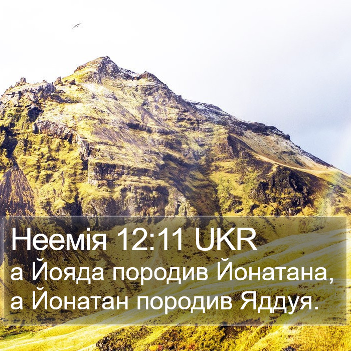 Неемія 12:11 UKR Bible Study