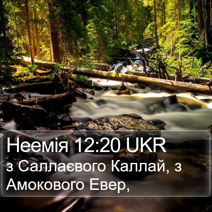 Неемія 12:20 UKR Bible Study