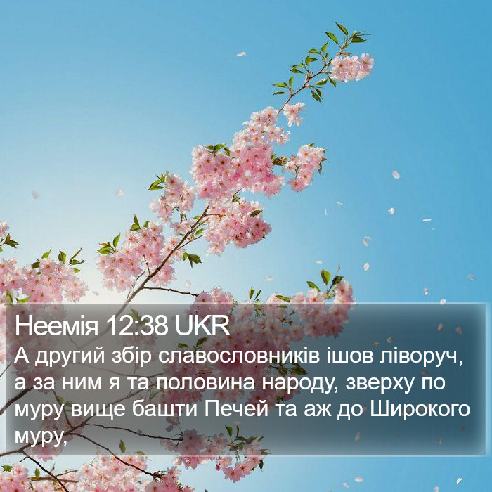 Неемія 12:38 UKR Bible Study